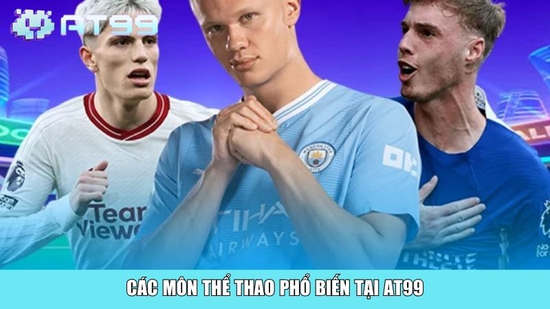 Các môn thể thao phổ biến tại AT99